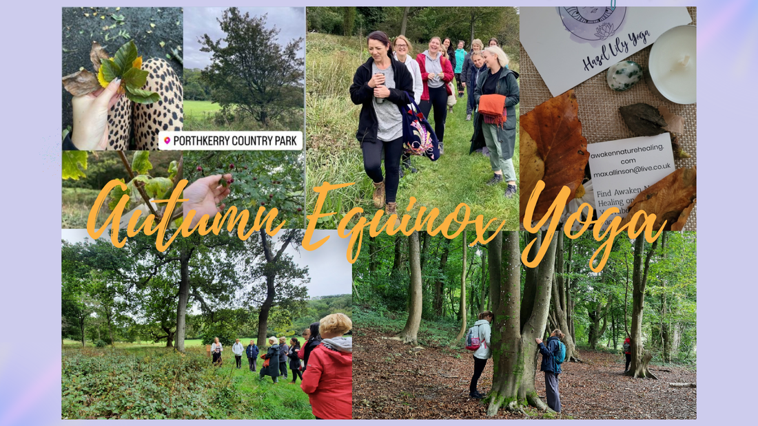 Autumn Equinox Yoga | Forest Bathe, Forage, Focus & Flow | Porthkerry Country Park Vale of Glamorgan | Maxine Awaken Nature Healing & Hazel Lily Yoga