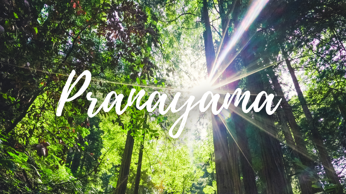 What is Pranayama? Hazel Lily Yoga